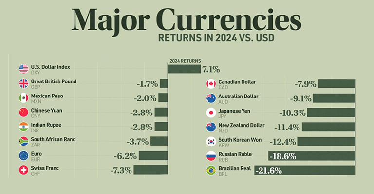 You are currently viewing Major currencies returns in 2024 vs USD